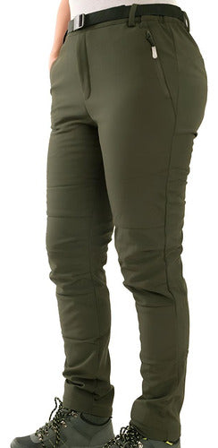 Verde musgo