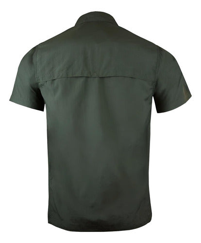Verde musgo