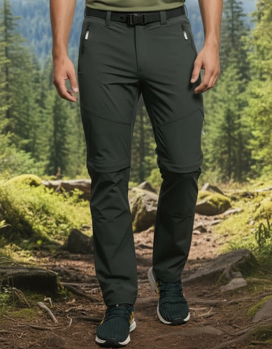 Verde musgo
