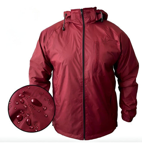 Bordó