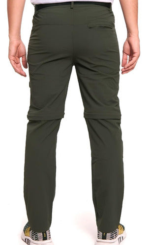 Verde musgo