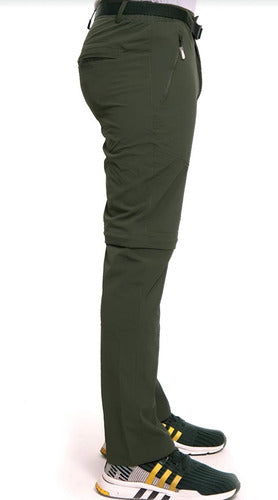 Verde musgo