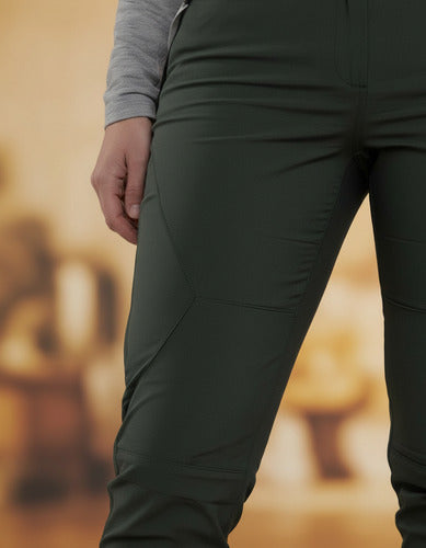 Verde musgo