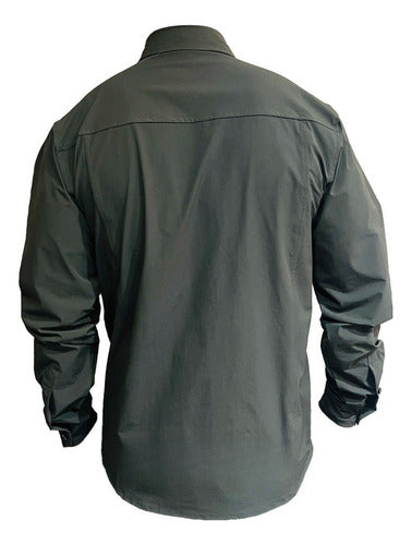 Verde musgo