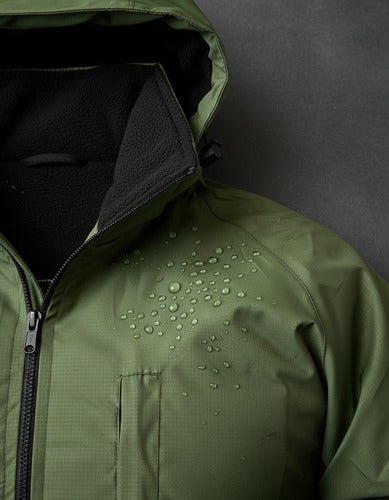 Verde musgo