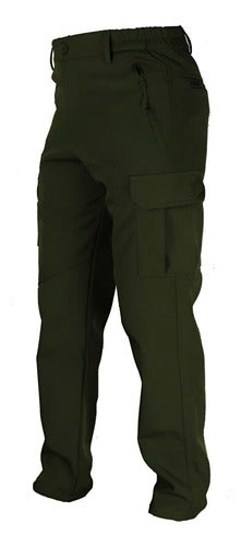 Verde musgo