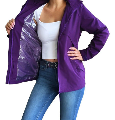 Violeta