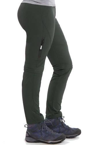 Verde musgo 01