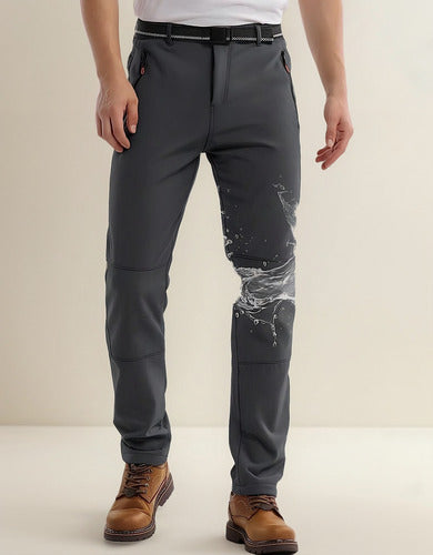Gris
